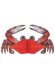 Tissue Crab * Tissue Crab *