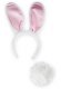 Animal Set: Bunny (Ears & Tail) Animal Set: Bunny (Ears & Tail)