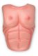Breastplate: Male Chest *