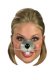 Nose: Mouse *