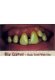 Billy Bob Teeth: Big Cletus Billy Bob Teeth: Big Cletus