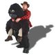 John and the Giant Gorilla Mascot Adult Costume * John and the Giant Gorilla Mascot Adult Costume *