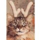 Pet Costume- Reining Cats & Dogs * Pet Costume- Reining Cats & Dogs *