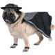 Zorro Pet Costume *