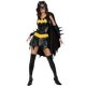 Batgirl Deluxe Adult Costume * Batgirl Deluxe Adult Costume *