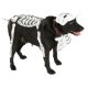 Corpse Bride Dog Costume * Corpse Bride Dog Costume *