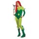Gotham Girls DC Comics Poison Ivy Adult Costume * Gotham Girls DC Comics Poison Ivy Adult Costume *