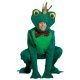 Frog Prince Adult Costume *