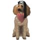 Pirate Pooch Pet Costume * Pirate Pooch Pet Costume *