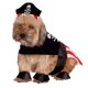 Pirate Dog Pet Costume * Pirate Dog Pet Costume *