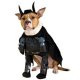 Batman Dark Knight Batman Dog Costume Batman Dark Knight Batman Dog Costume