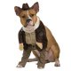 Indiana Jones Indiana Dog Costume * Indiana Jones Indiana Dog Costume *