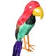 Parrot, Pirate * Parrot, Pirate *
