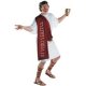 Dionysus - The God of Wine Adult Costume * Dionysus - The God of Wine Adult Costume *