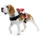 Jockey Dog Rider Pet Costume * Jockey Dog Rider Pet Costume *