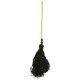 Rose Witch Broom * Rose Witch Broom *