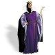 Snow White Disney Evil Queen Adult Costume Snow White Disney Evil Queen Adult Costume