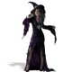 Sorceress Adult Costume *