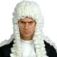 Judges Wig White Adult * Judges Wig White Adult *