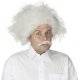 Einstein Wig Adult * Einstein Wig Adult *