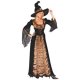 Crypt Witch Adult Costume *