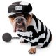 Zelda Prisoner Dog Costume * Zelda Prisoner Dog Costume *