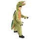 T.Rex Dinosaur Costume * T.Rex Dinosaur Costume *