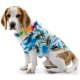 Hawaiian Pet Costume * Hawaiian Pet Costume *