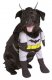 Batman Dog Costume * Batman Dog Costume *