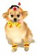 Clown Pet Costume * Clown Pet Costume *
