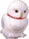 Harry Potter Owl (Hedwig) * Harry Potter Owl (Hedwig) *