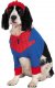 Spider-Man Dog Costume * Spider-Man Dog Costume *