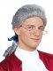 Colonial Duke with Bow Grey Colonial Costume Wig * Colonial Duke with Bow Grey Colonial Costume Wig *