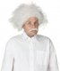 Einstein Wig and Moustache * Einstein Wig and Moustache *