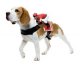 Dog Riders Jockey Costume * Dog Riders Jockey Costume *