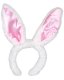 Bunny Rabbit Ears * Bunny Rabbit Ears *