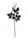 24 inches Bloody Rose * 24 inches Bloody Rose *