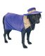 Pimp Doggie Costume *