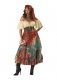 Elite Fortune Teller Adult Costume * Elite Fortune Teller Adult Costume *