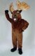 Mr. Moose Mr. Moose