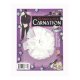 Gangster Carnation * Gangster Carnation *