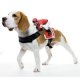 Dog Riders Jockey Dog Harness * Dog Riders Jockey Dog Harness *