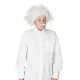 Einstein Wig Adult * Einstein Wig Adult *